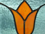 Orange Victorian Tulip on seafoam background